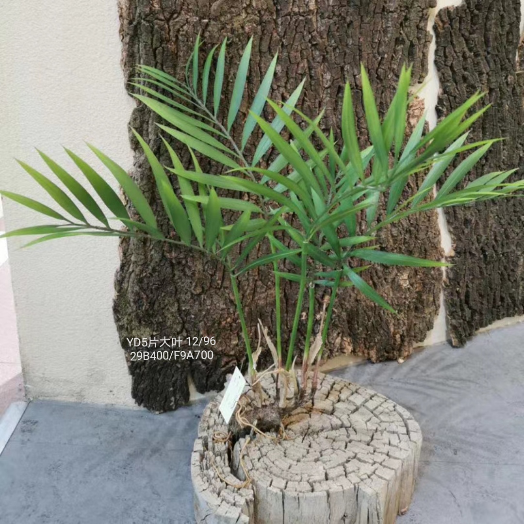 Vine leaf plants, artificial flowers, artificial flowers, flower arrangements, bonsai, living room, hotel, wedding, video, decoration, tree ties, potted plants with roots -2