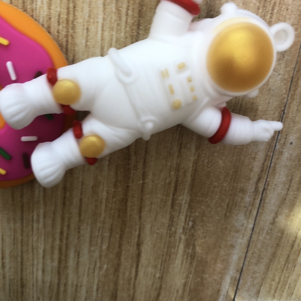 Key chain accessory sd