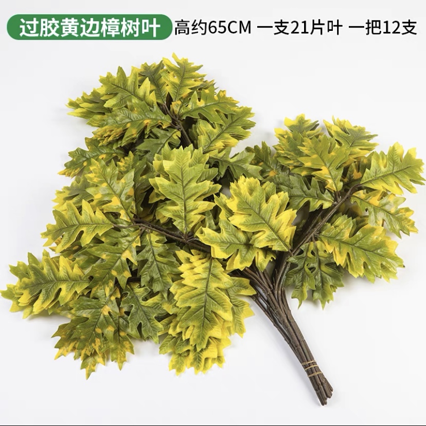 Camphor Tree 2