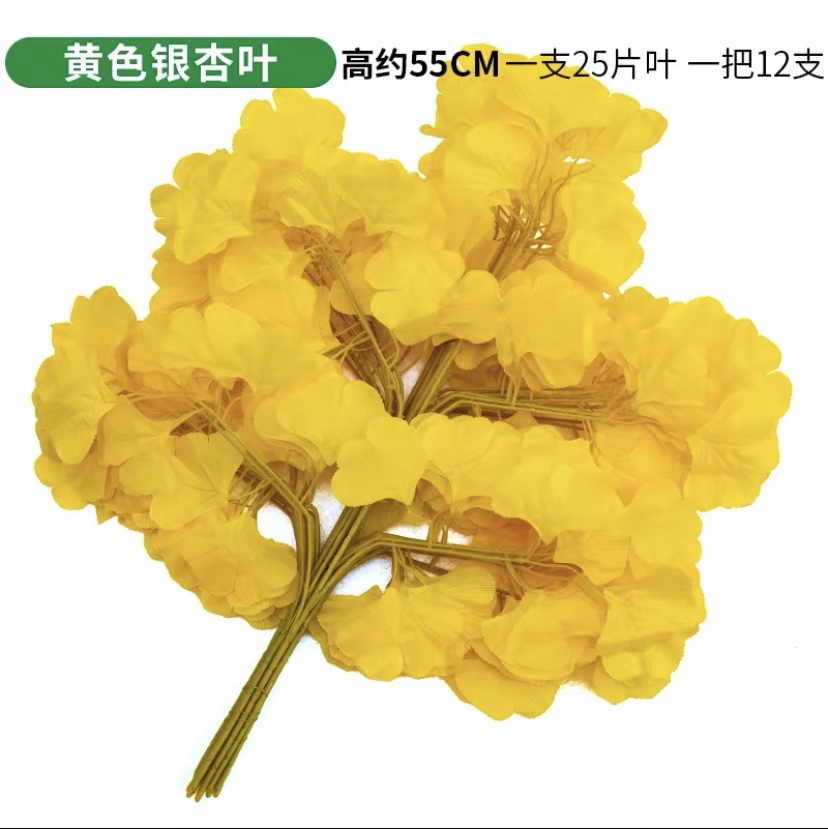 Penta ginkgo