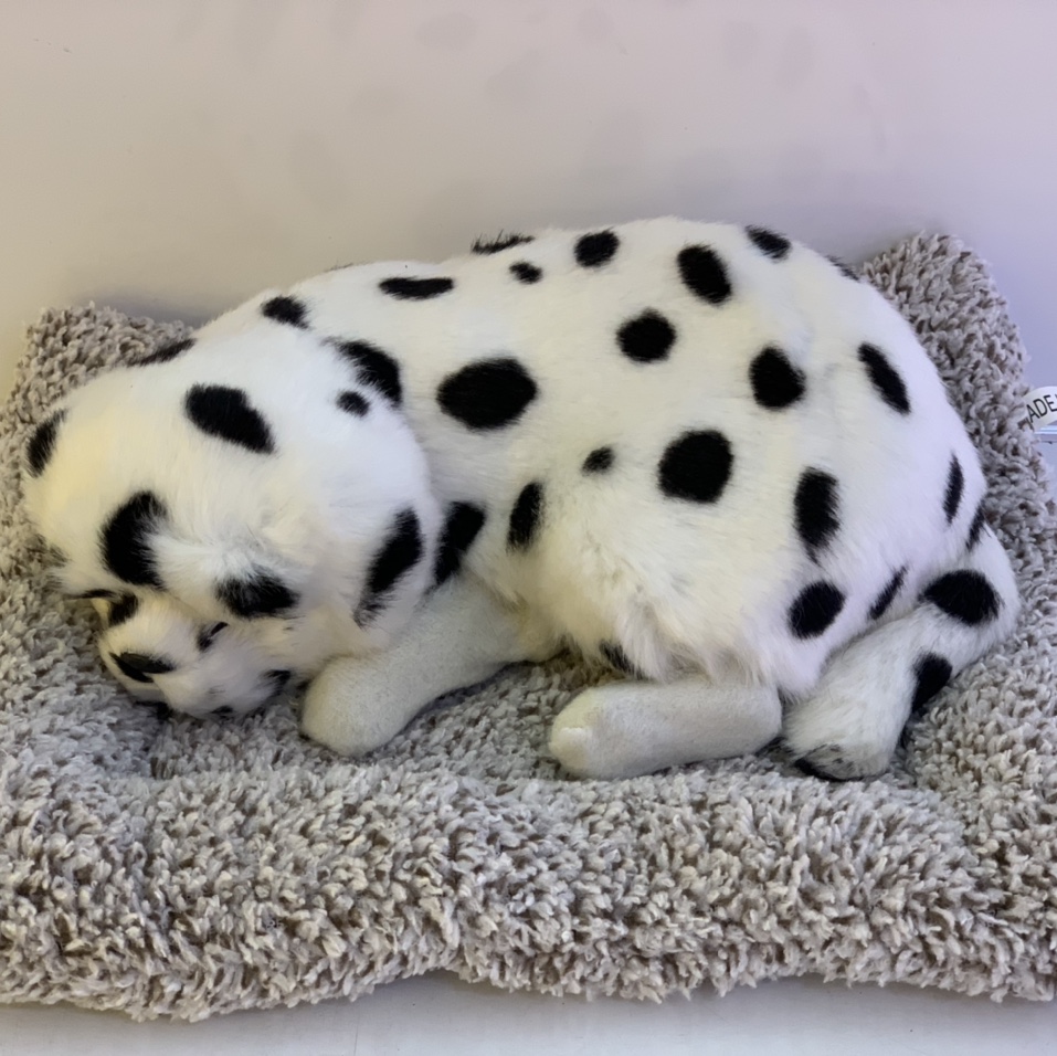 宇越裘皮大号竹炭斑点狗小号竹炭猫青狸花 大号竹炭狗黑白色汽车用品摆件除异味可爱不点猫 内销 外贸量2大优惠