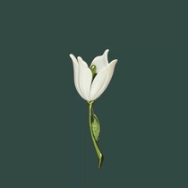 Lily brooch
