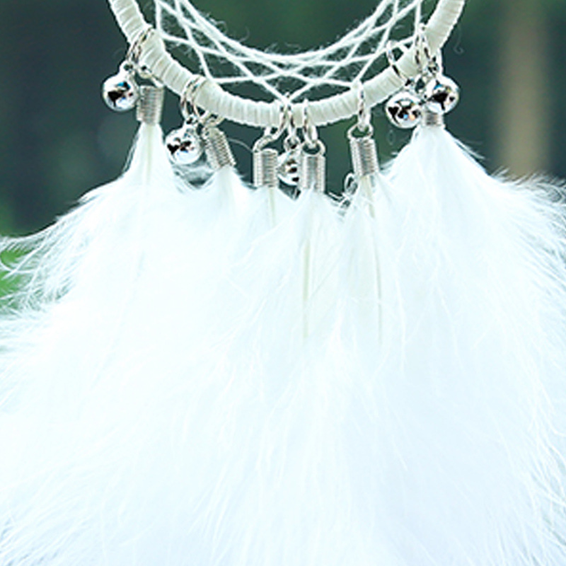 وسيارة ريشة بيضاء مبدعة مزخرفة بمرآة الرؤية الخلفية details Picture