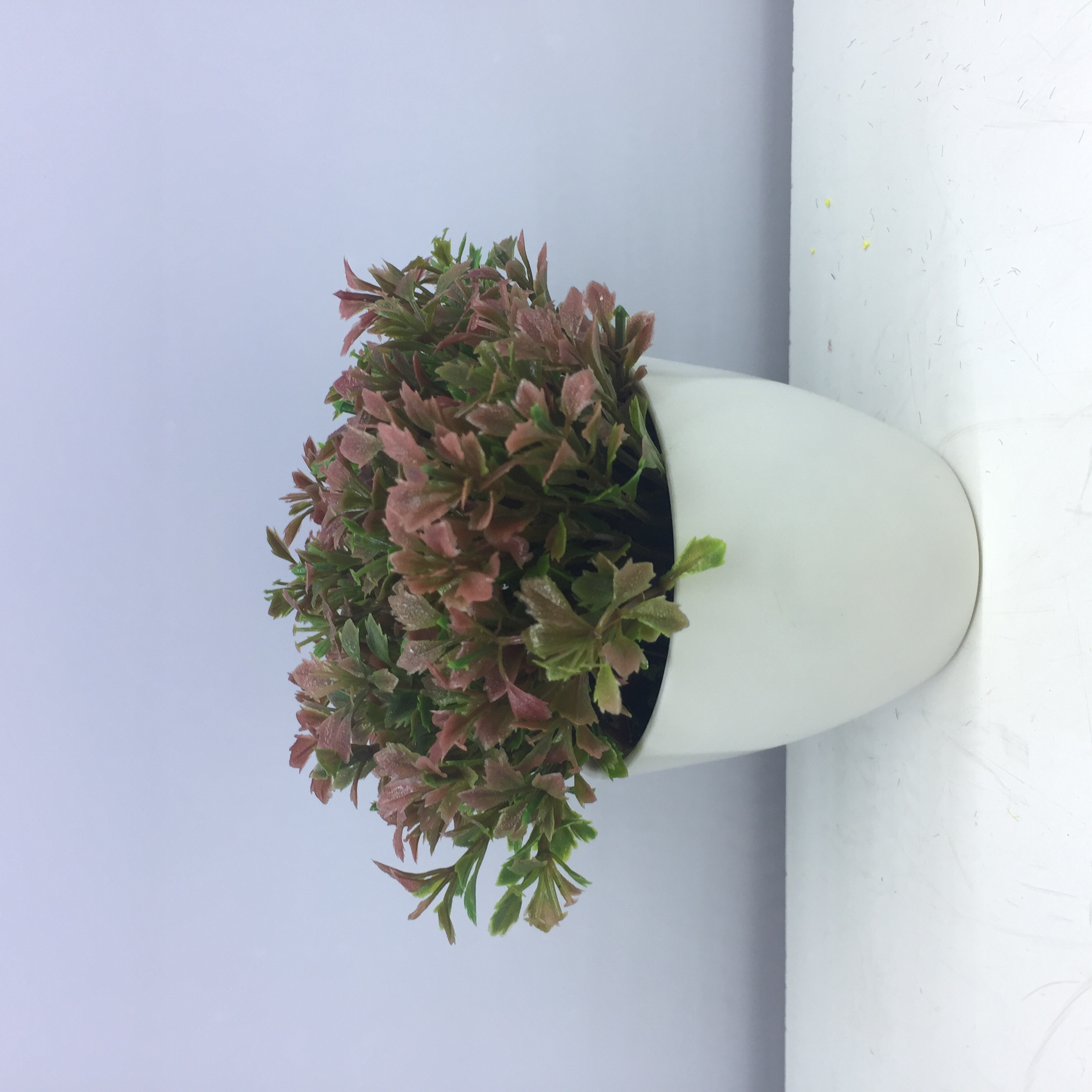 نباتات اصطناعية من الحوض البلاستيكي Specification image