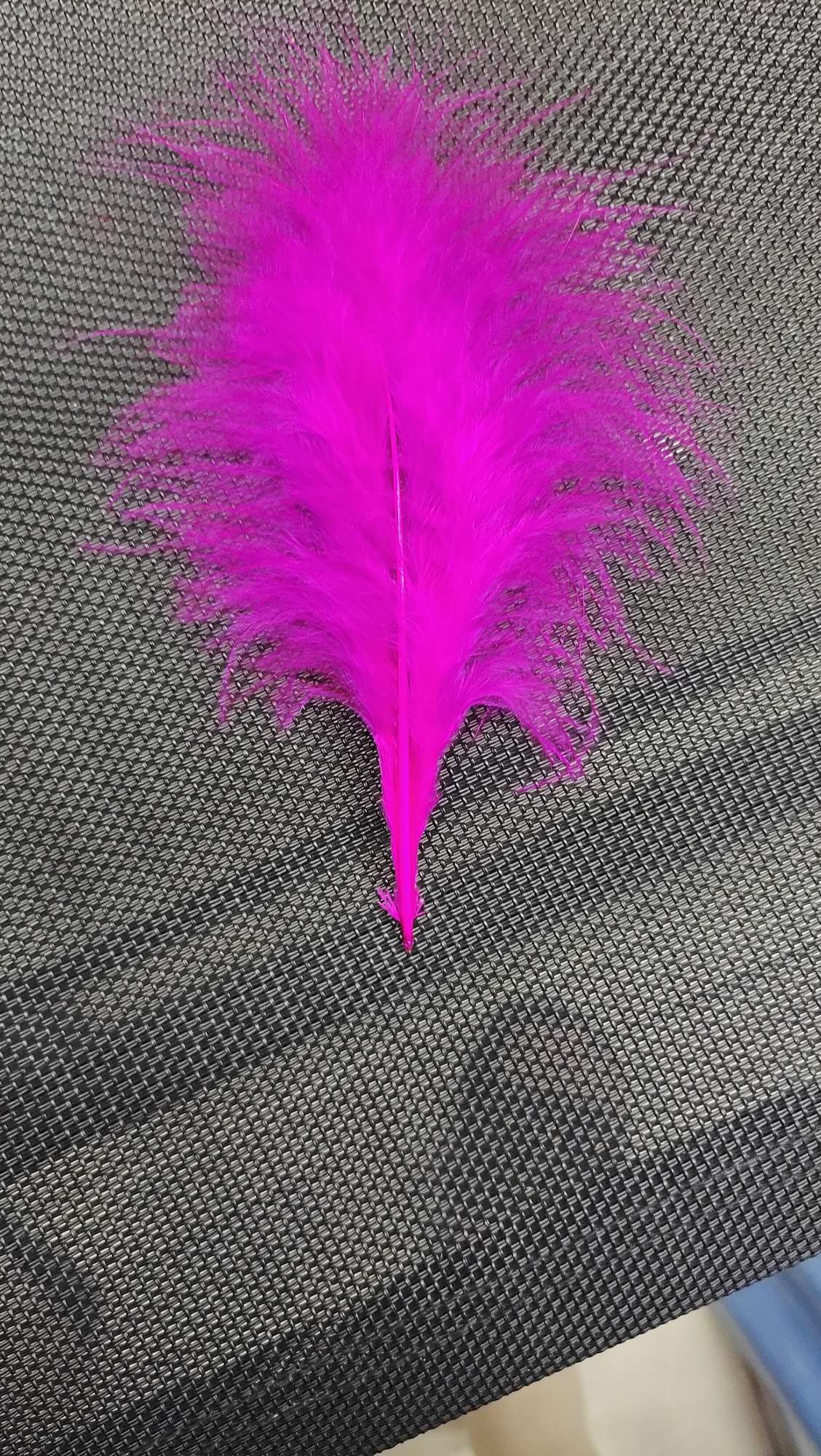 火鸡全绒羽毛红色详情图3