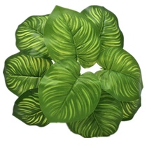Small green plant 18