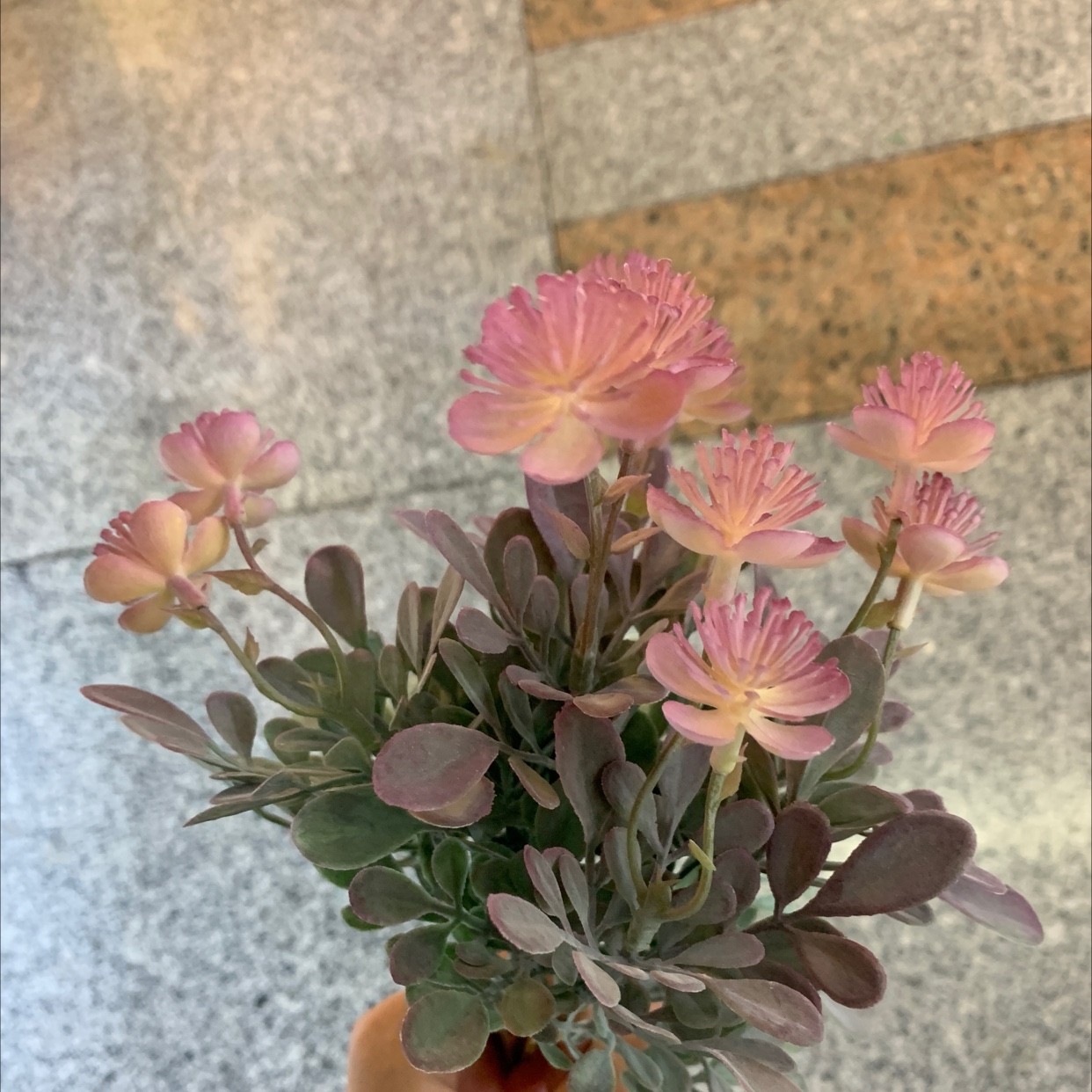 Plastic Flower 31 Direct sales from Chonghao Craft Factory