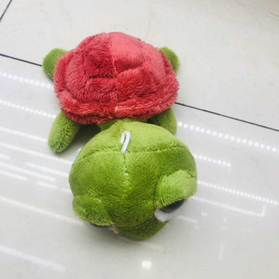 乌龟1
