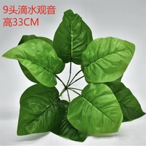 Small green plant 13