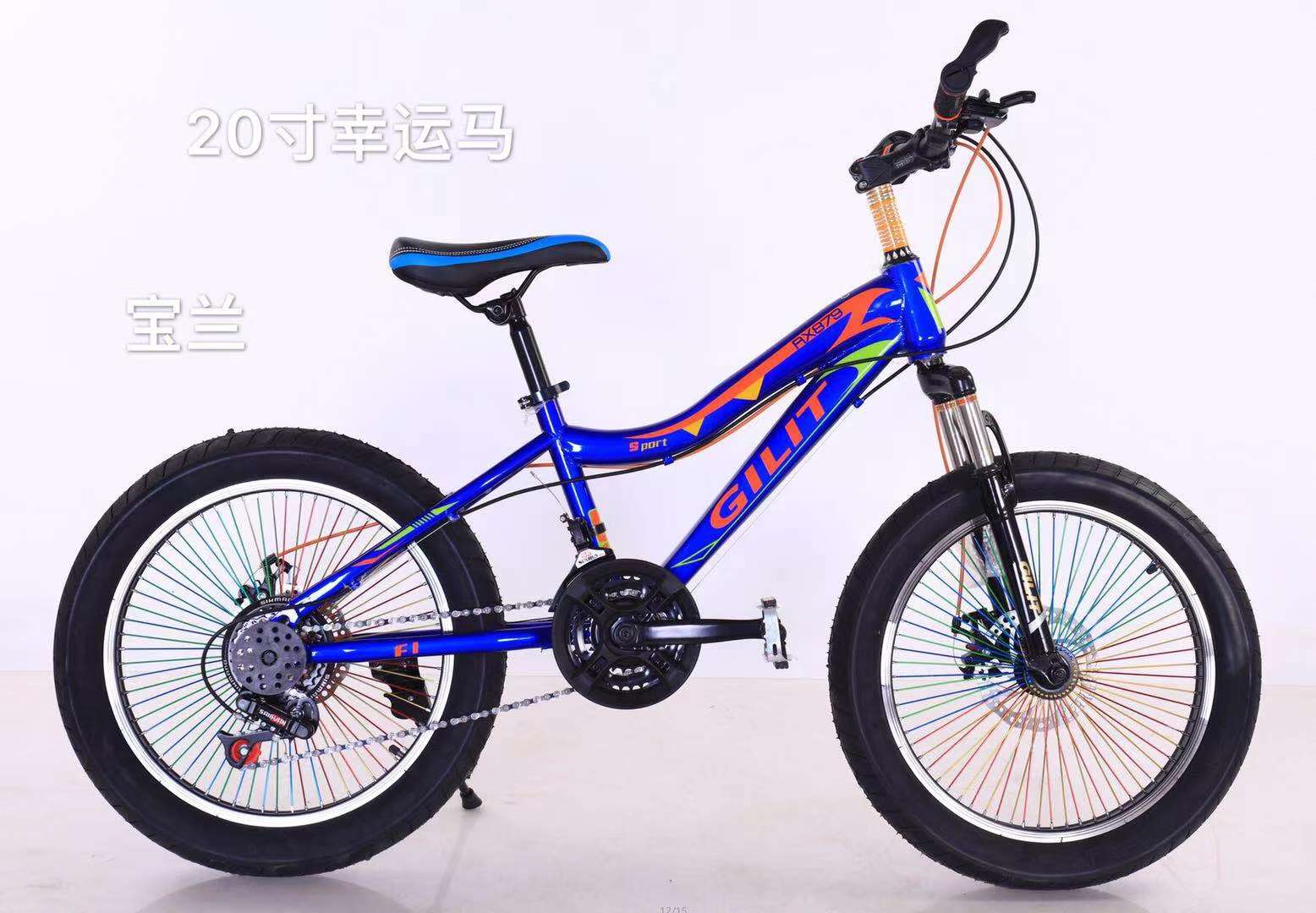 Bicycle 20 "lucky horse 68 hole strip wheel Application Scenario