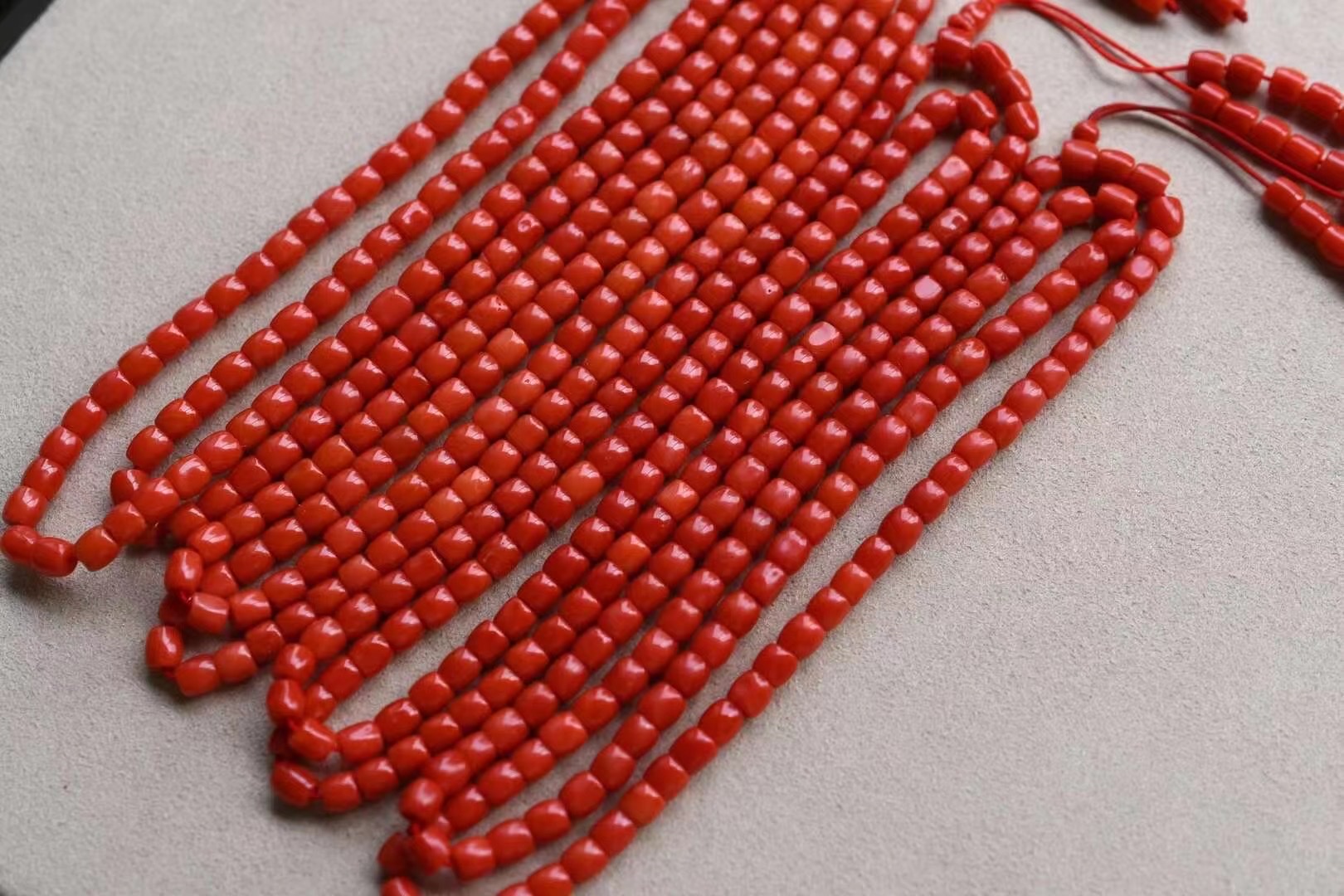 المرجان الأحمر 108 detail image 3
