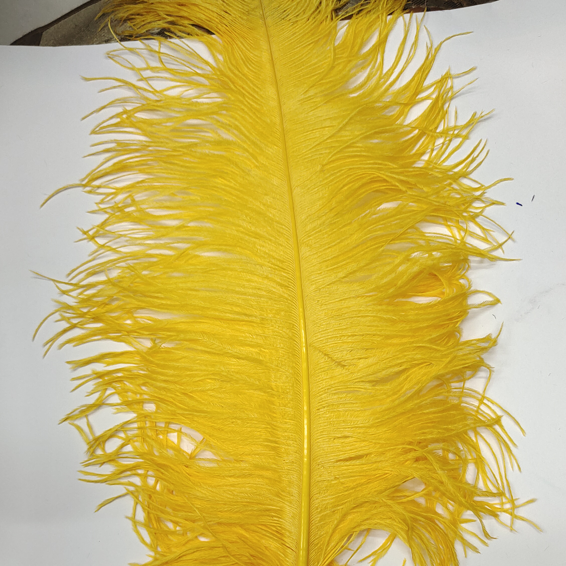 Ostrich feathers 25-30 cm golden yellow