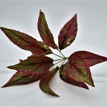 Small green plant 6