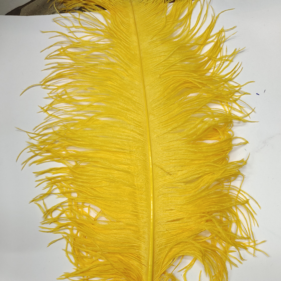 Ostrich feathers 15-20 cm golden yellow