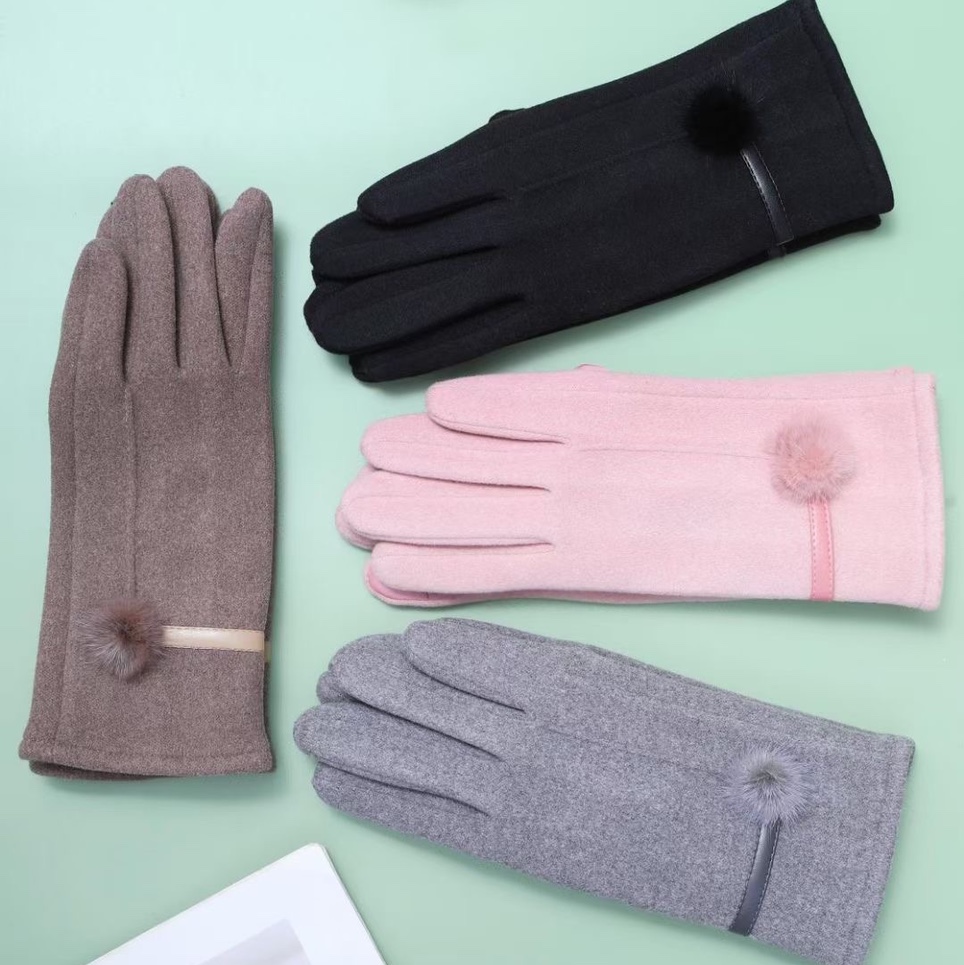 Gloves Women's warm gloves Autumn and Winter gloves Women's fleece touch screen gloves Cycling casual winter driving