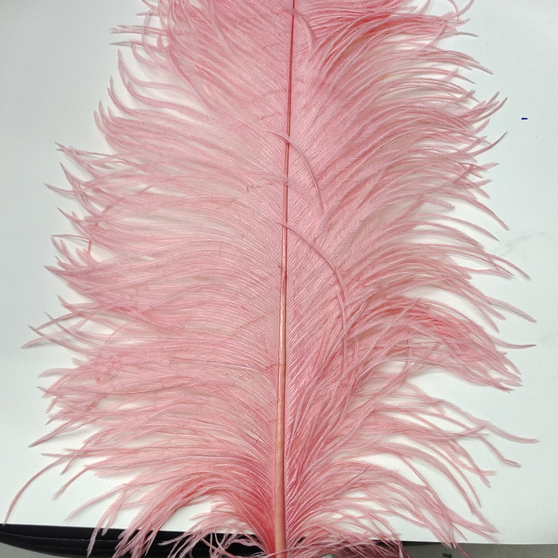 Ostrich feathers 20-25 cm flesh pink