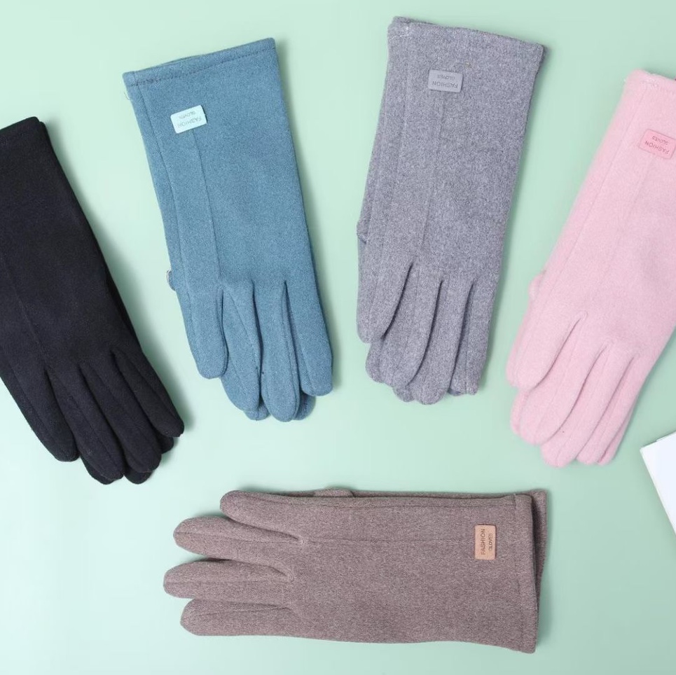 Gloves Women's warm gloves Autumn and Winter gloves Women's fleece touch screen gloves Cycling winter driving cotton thick