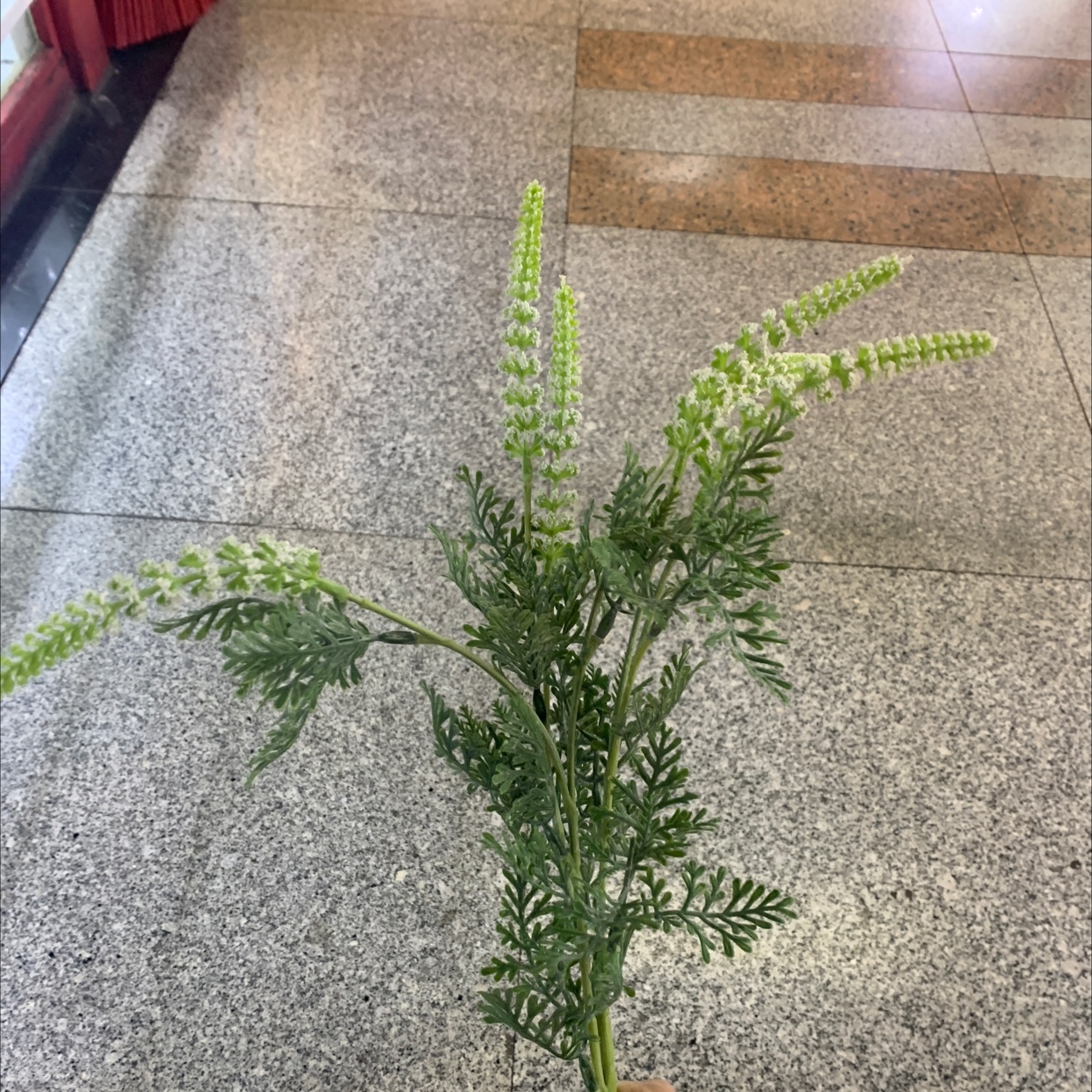 Plastic Flower 49 Direct sales from Chonghao Craft Factory