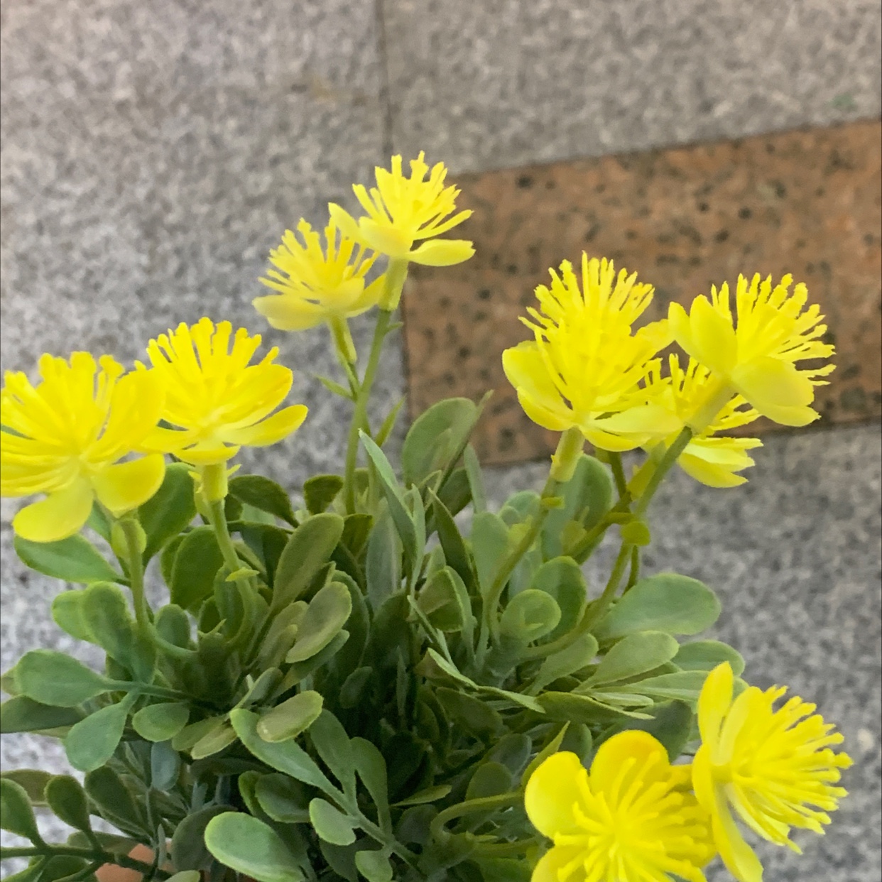 Plastic flower 29 Direct sales from Chonghao Craft Factory