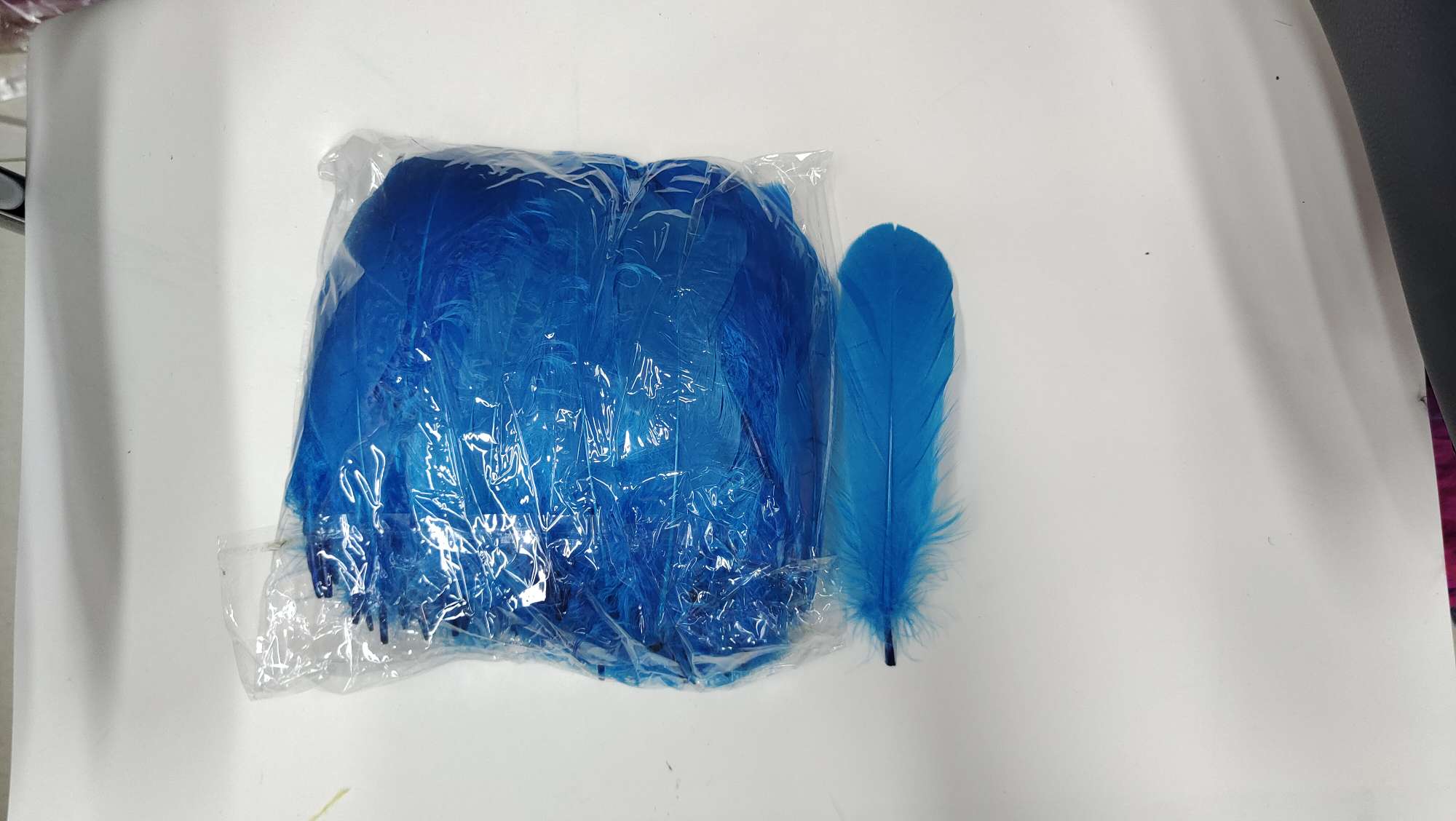 鹅毛小飘羽毛浅绿色白底实物图