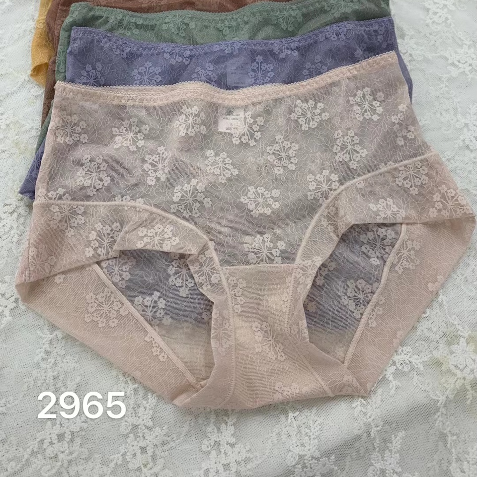 2965内裤