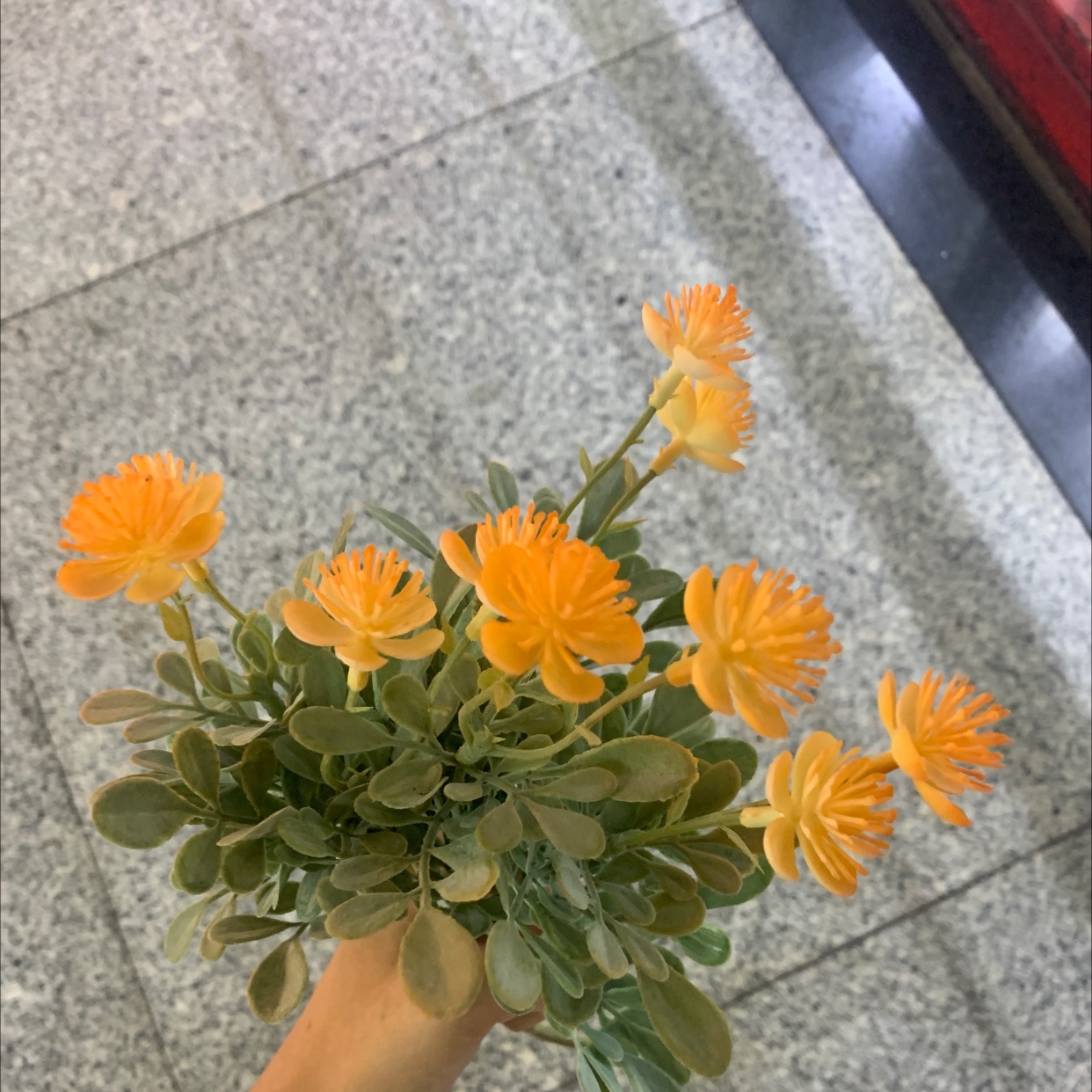 Plastic Flower 33 Direct sales from Chonghao Craft Factory