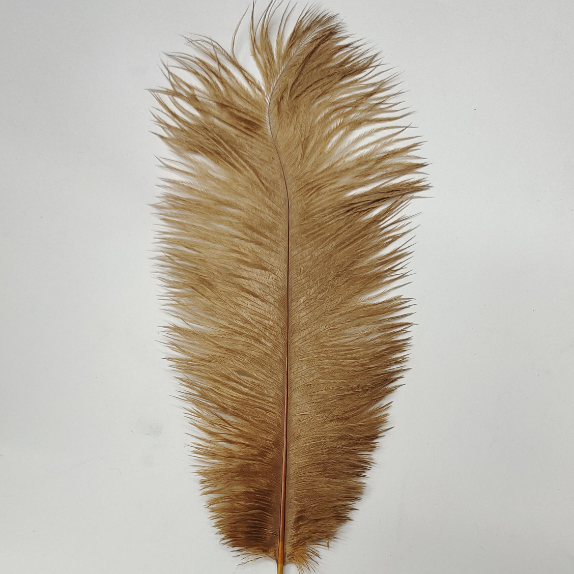 Ostrich feathers 20-25 cm coffee