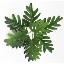Green plant small 21