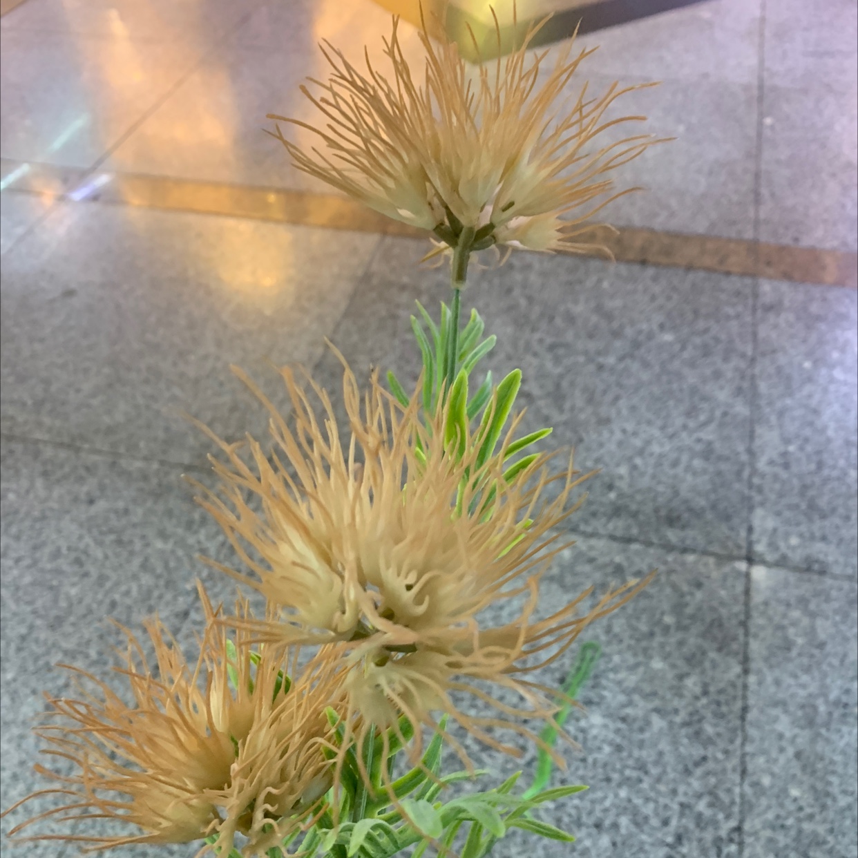 Plastic Flower 43 Direct sales from Chonghao Craft Factory