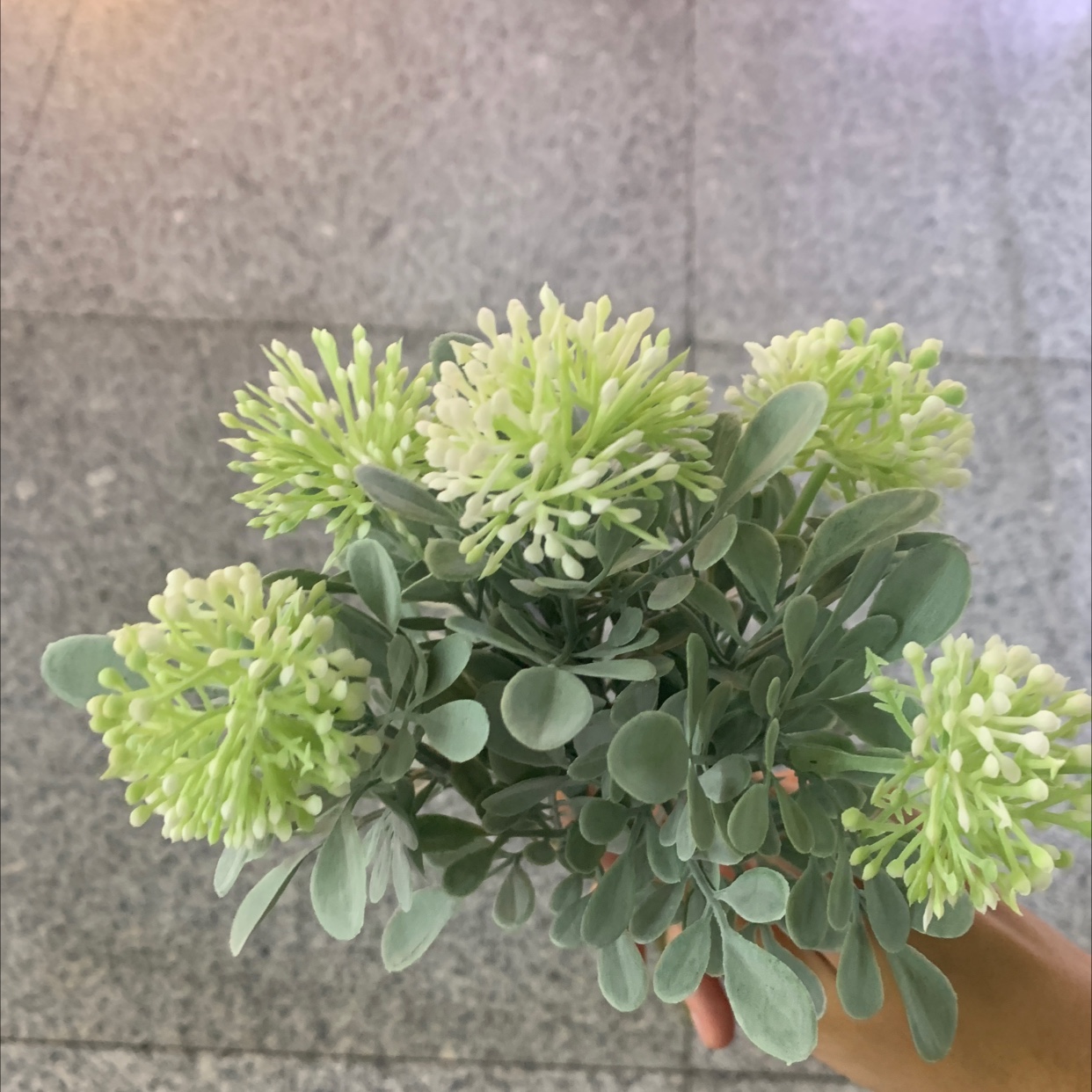 Plastic flower 25 Chonghao craft factory direct sales thumbnail