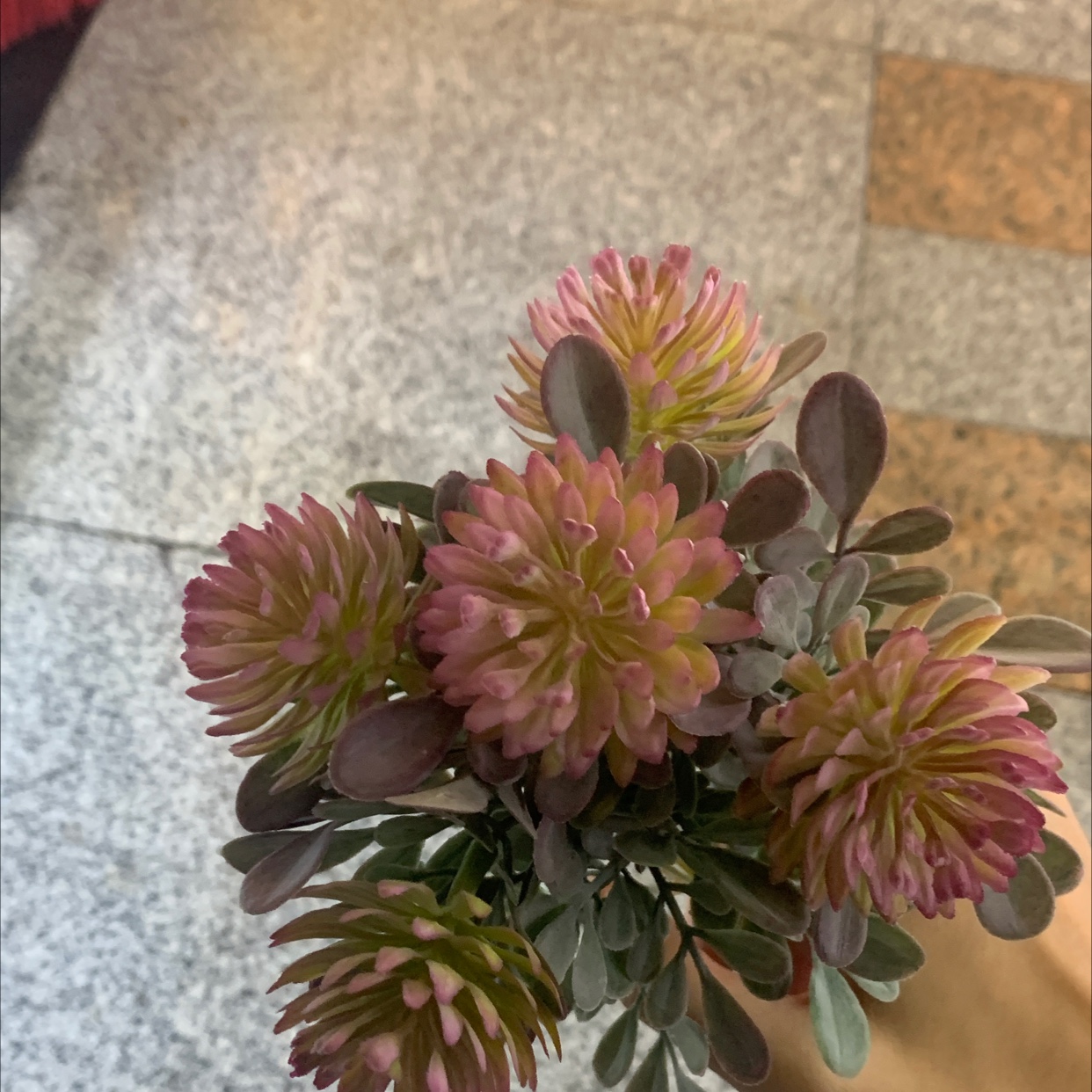 Plastic Flower 21 is sold directly by Chonghao Craft Factory