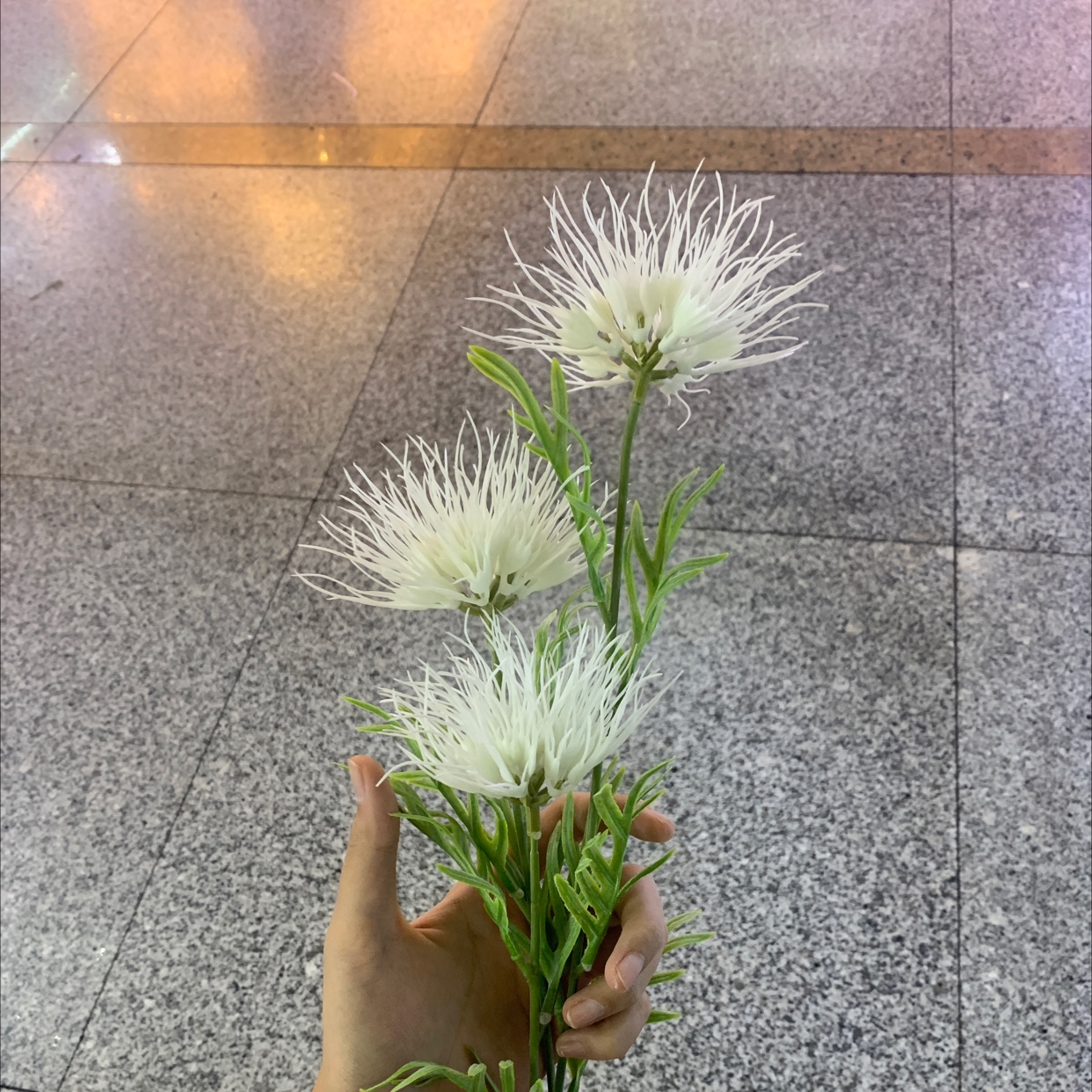 Plastic flower 40 Chonghao craft factory direct sales thumbnail