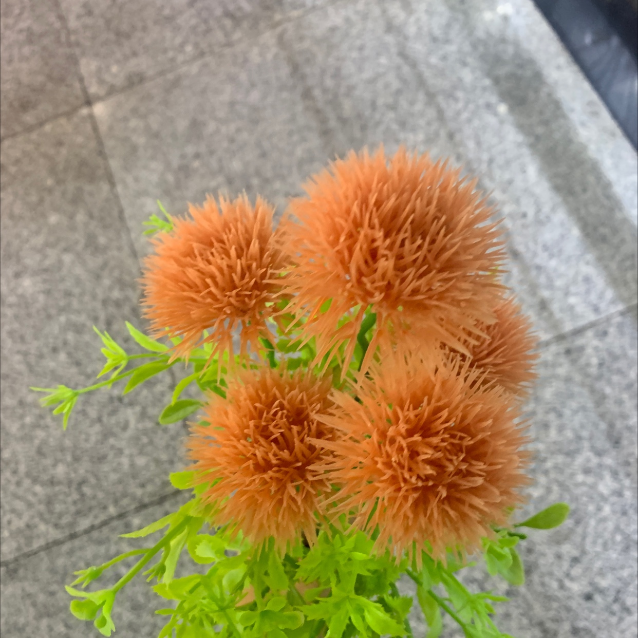 Plastic flower 36 Chonghao industrial factory direct sales thumbnail
