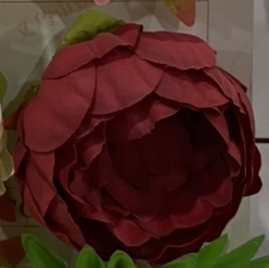 313
