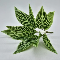 Small green plant 8