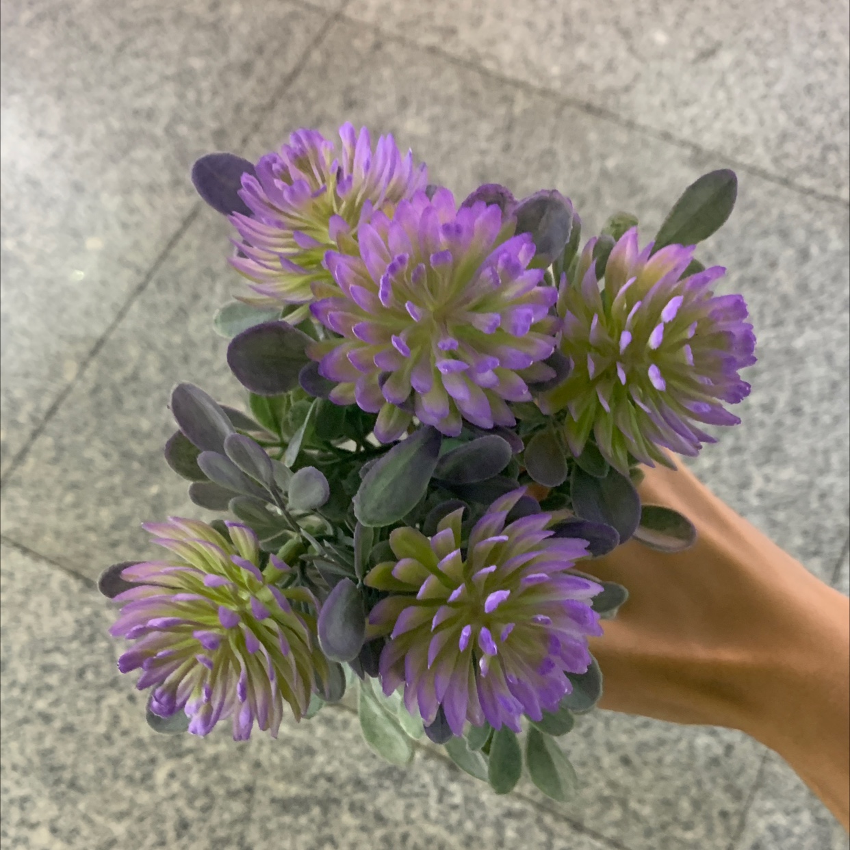 Plastic Flower 23 Direct sales from Chonghao Craft Factory