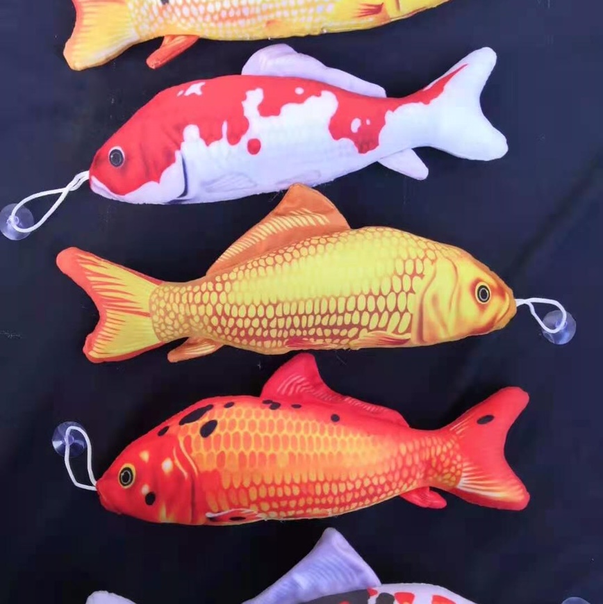 小鱼
