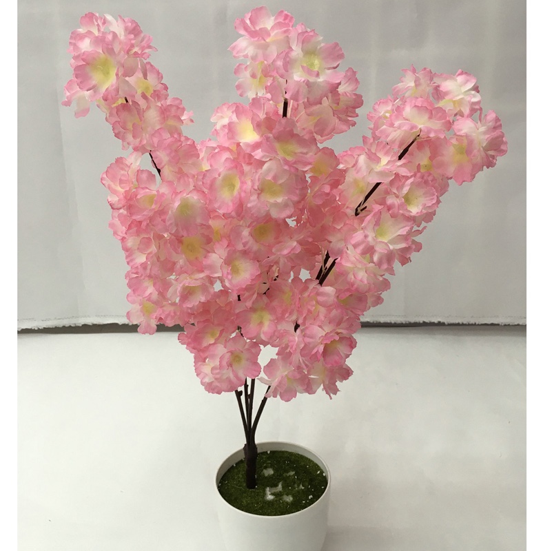 150 cherry blossoms