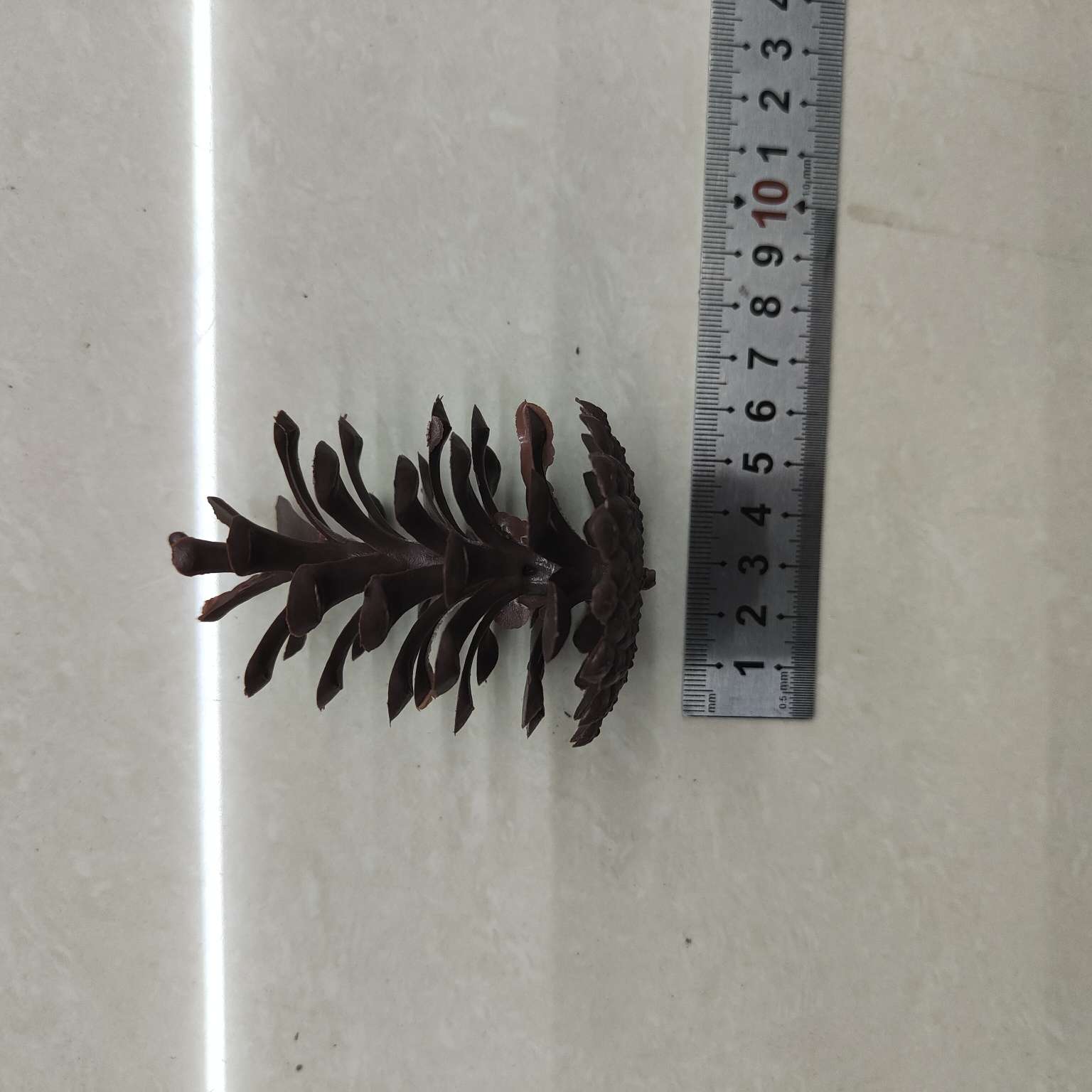 塑料仿真松果假花配件圣诞PE装饰7.5CM详情图5