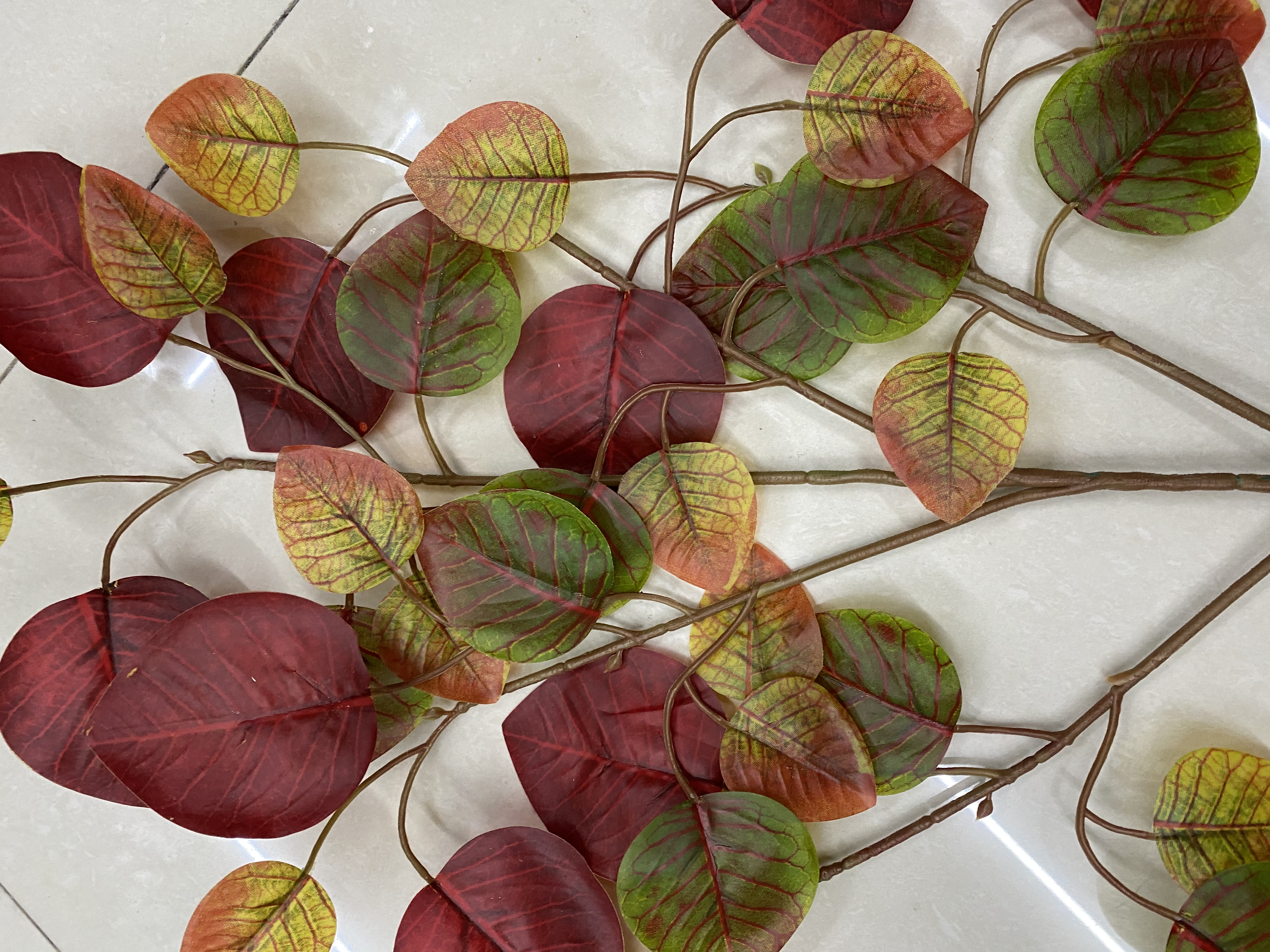 Colorful maple leaves Specification image