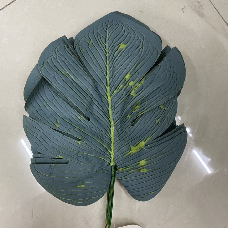 The beauty leaves are scorched and aged