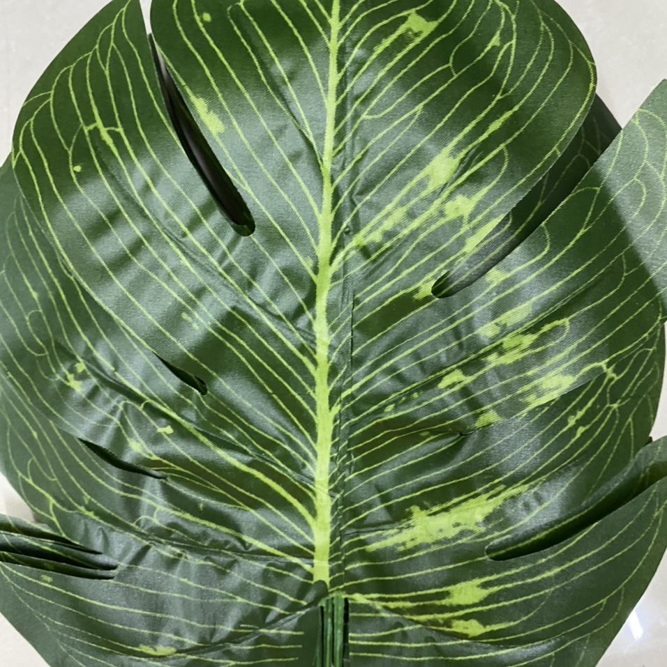 Silk-screened banana leaves