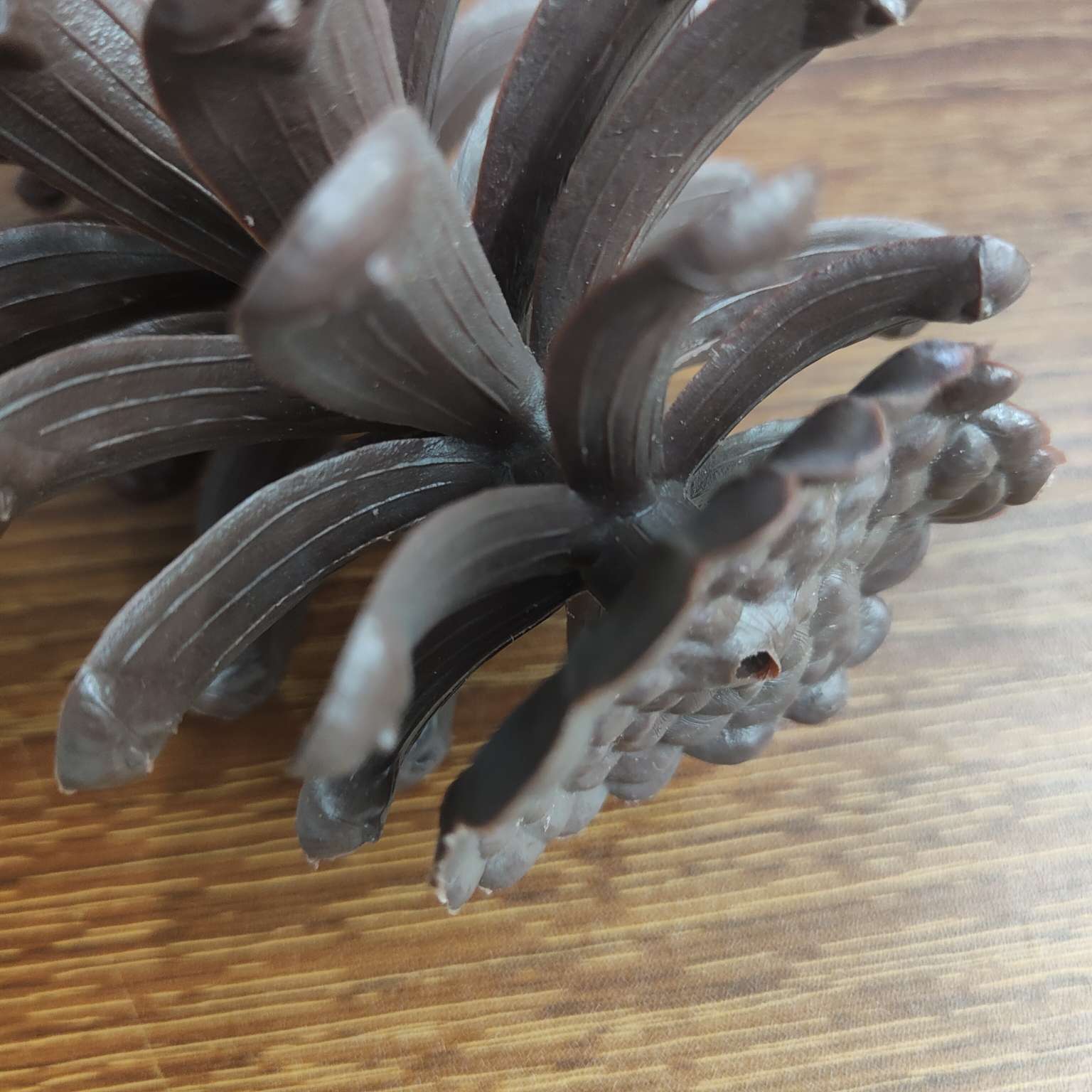 仿真大号塑料松果假花配件PE拍摄道具圣诞装饰摆件详情图20