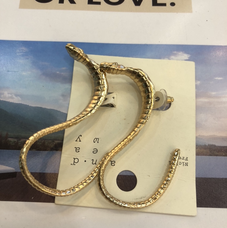 The same fashion trend casual European and American metal material design of modern simple 28 earrings thumbnail