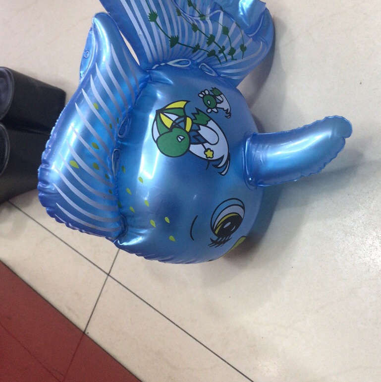 小金鱼