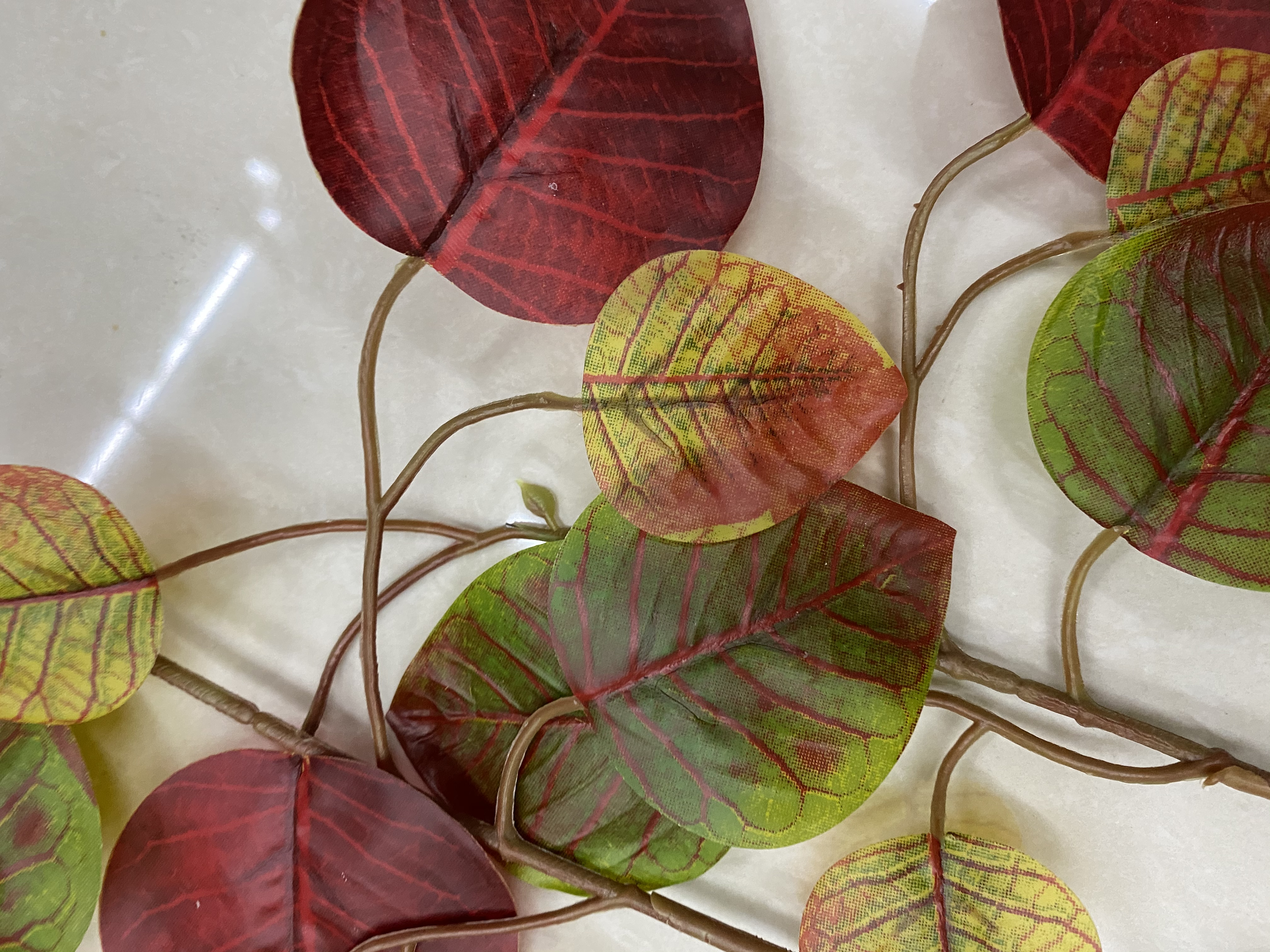 Colorful maple leaves Item Picture