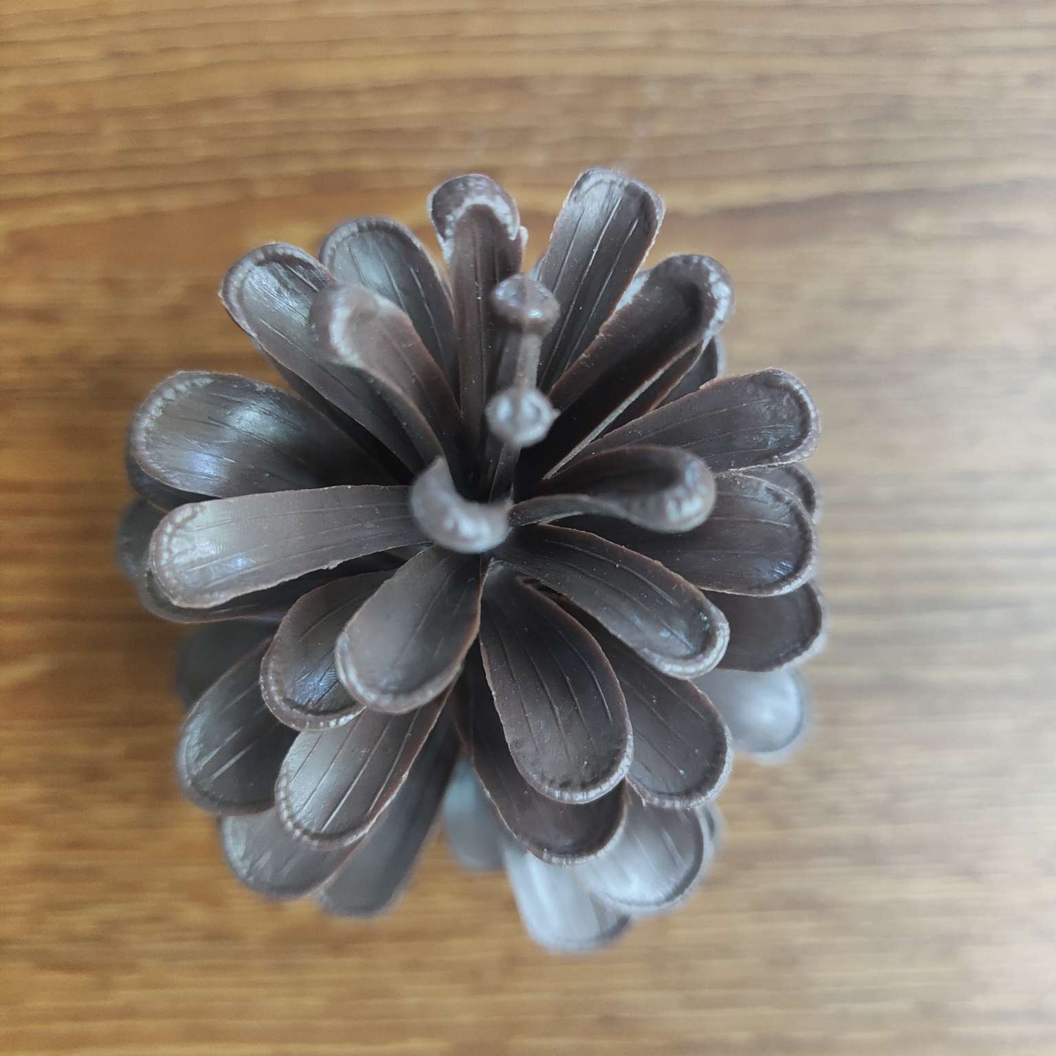 仿真大号塑料松果假花配件PE拍摄道具圣诞装饰摆件详情图2