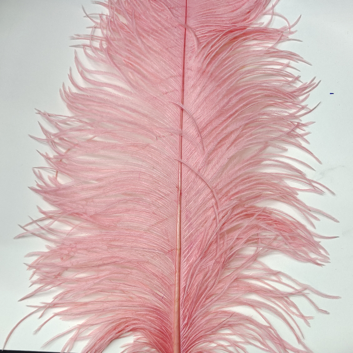 Ostrich feathers 30-35 cm watermelon powder