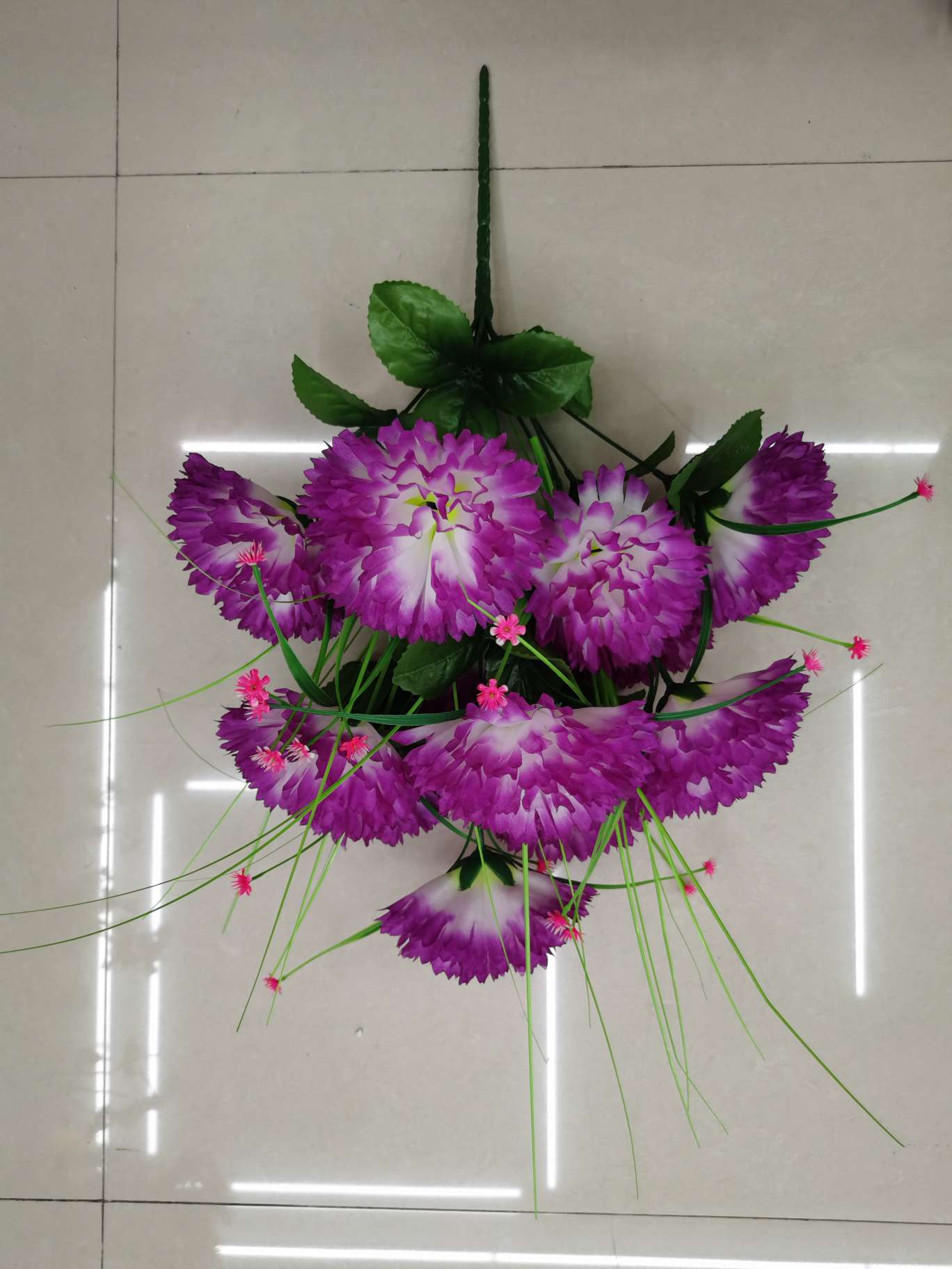 اثنا عشر زهرة البنفسجية details Picture
