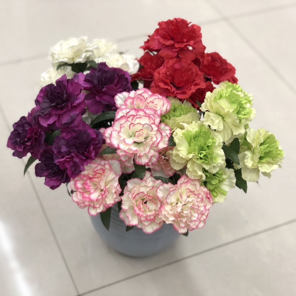 7头康乃馨454565615515354